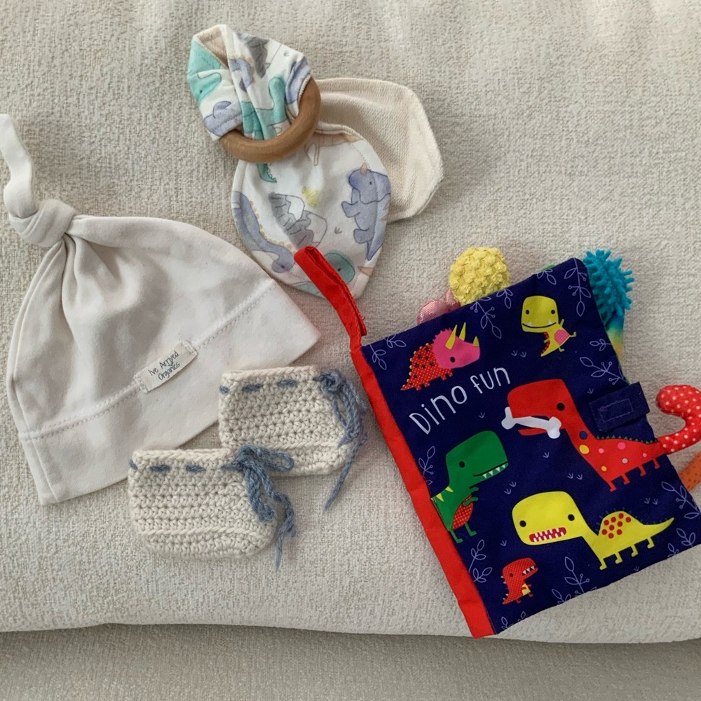 Baby boy Dinosaur booties beanie book gift set bundle